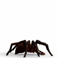 Schleich Wizarding World Aragog, Spielfigur -Angebote Puppen Welt Store Schleich Wizarding World Aragog Spielfigur@@1908529 2
