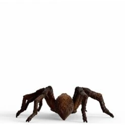 Schleich Wizarding World Aragog, Spielfigur -Angebote Puppen Welt Store Schleich Wizarding World Aragog Spielfigur@@1908529 3