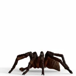 Schleich Wizarding World Aragog, Spielfigur -Angebote Puppen Welt Store Schleich Wizarding World Aragog Spielfigur@@1908529 4