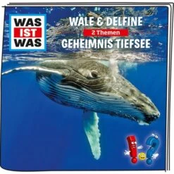 Tonies Was Ist Was - Wale & Delfine / Geheimnis Der Tiefsee, Spielfigur 6 Tonies Was Ist Was - Wale & Delfine / Geheimnis Der Tiefsee, Spielfigur -Angebote Puppen Welt Store Tonies Was ist Was Wale Delfine Geheimnis der Tiefsee Spielfigur@@1568569 2